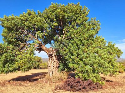 Casinos_Ruta_Torreseca