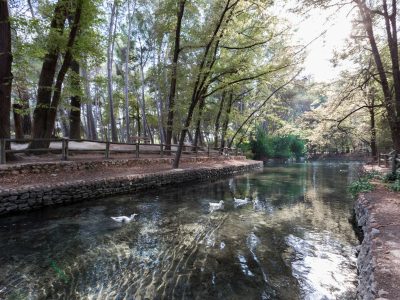 Parque San Vicente Ferrer, Llíria (Valencia), , Parque San Vicente Ferrer, Llíria (Valencia), , Parque San Vicente Ferrer, Llíria (Valencia), , Parque San Vicente Ferrer, Llíria (Valencia), , Parque San Vicente Ferrer, Llíria (Valencia), , Parque San Vicente Ferrer, Llíria (Valencia), , Parque San Vicente Ferrer, Llíria (Valencia),